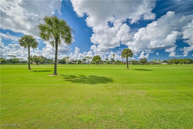 view of community featuring a yard