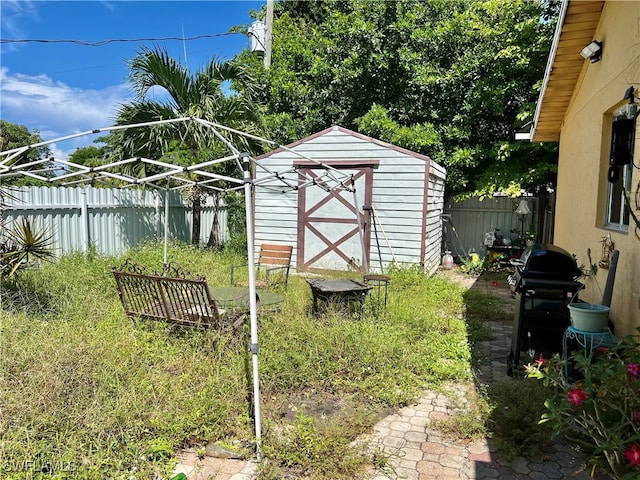 view of yard with a storage unit