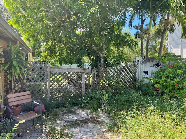 view of yard featuring a shed