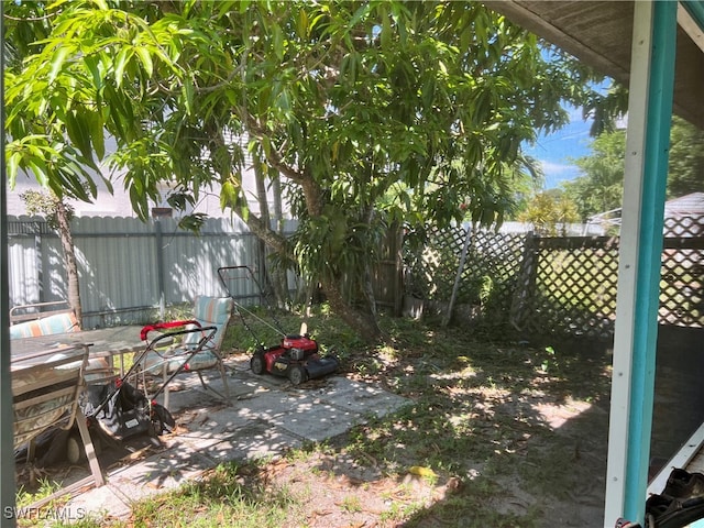 view of yard featuring a patio area