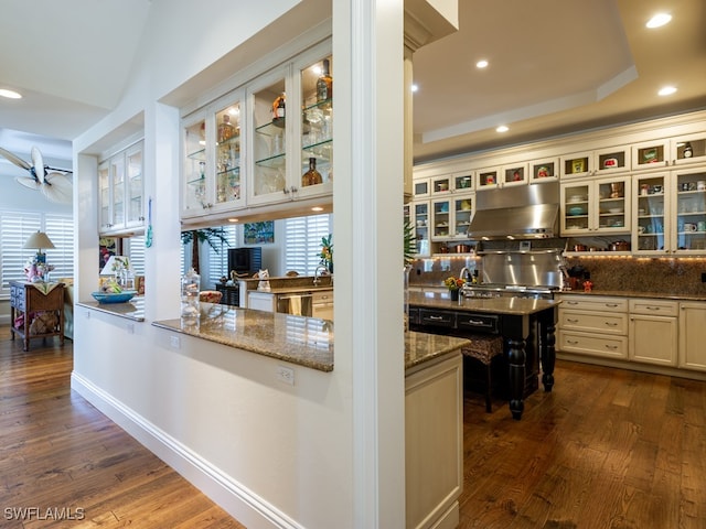 kitchen featuring dark wood-type flooring, a raised ceiling, stainless steel dishwasher, range hood, and dark stone countertops