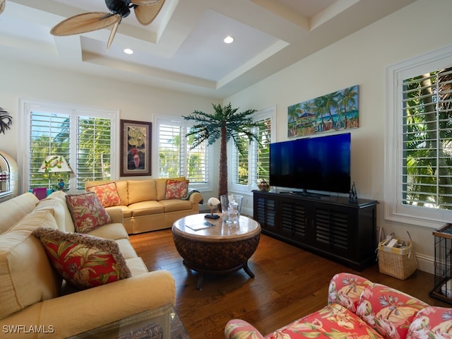 living room featuring a tray ceiling, ceiling fan, and dark wood-type flooring