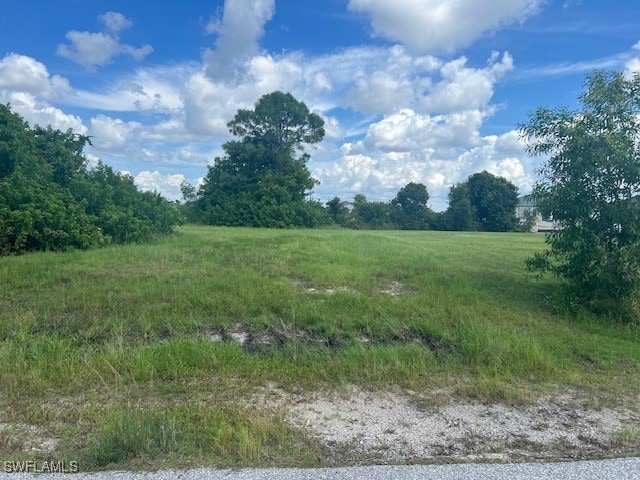 1317 NW 3rd Pl, Cape Coral FL, 33993 land for sale