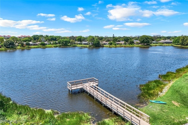 dock area with a water view