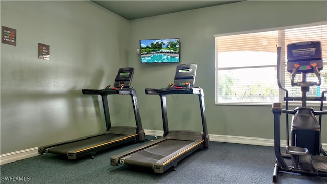 exercise room featuring carpet floors