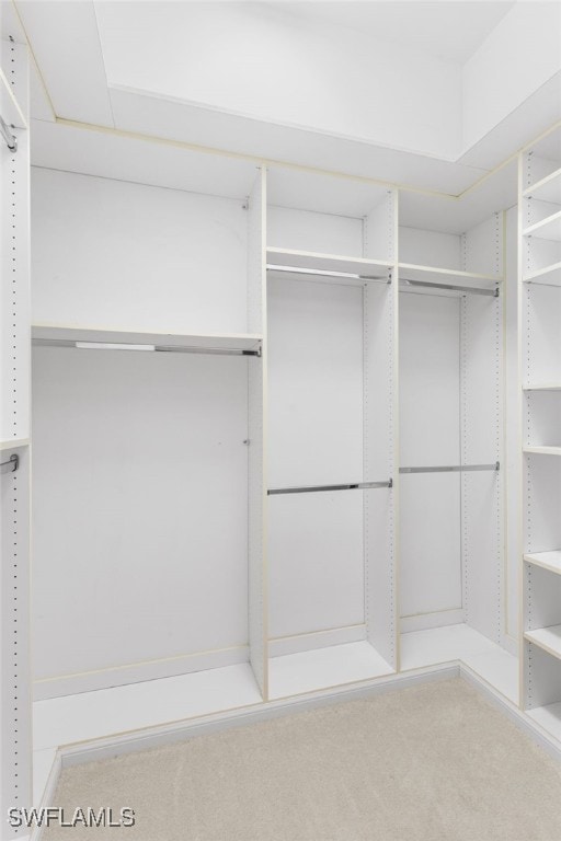 spacious closet featuring carpet floors