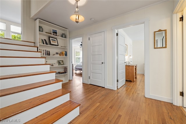 entrance foyer with a wealth of natural light, ornamental molding, light wood-type flooring, and ceiling fan