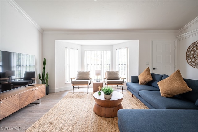 living room featuring light hardwood / wood-style flooring, ornamental molding, and a healthy amount of sunlight