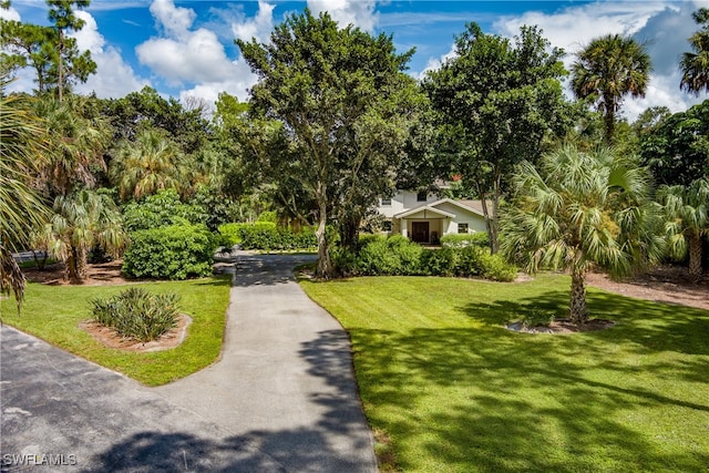 view of front of property featuring a front lawn