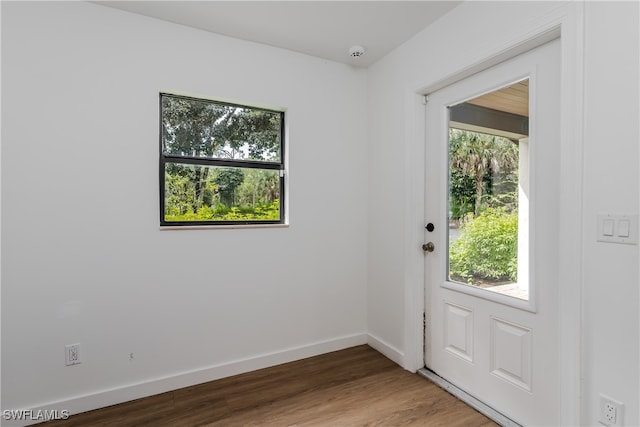 doorway featuring plenty of natural light and hardwood / wood-style floors