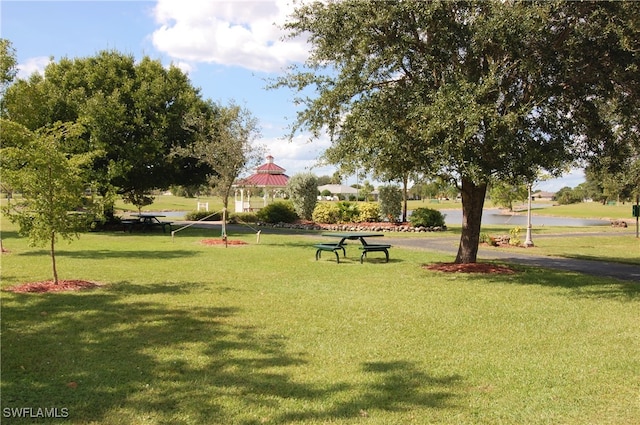 view of community featuring a yard