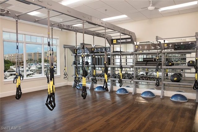 gym featuring hardwood / wood-style floors