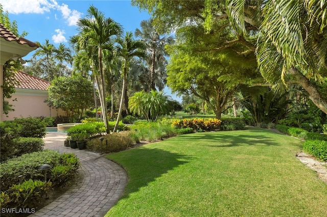 7005 Verde Way, Naples, FL 34108 - view of yard with an outdoor pool