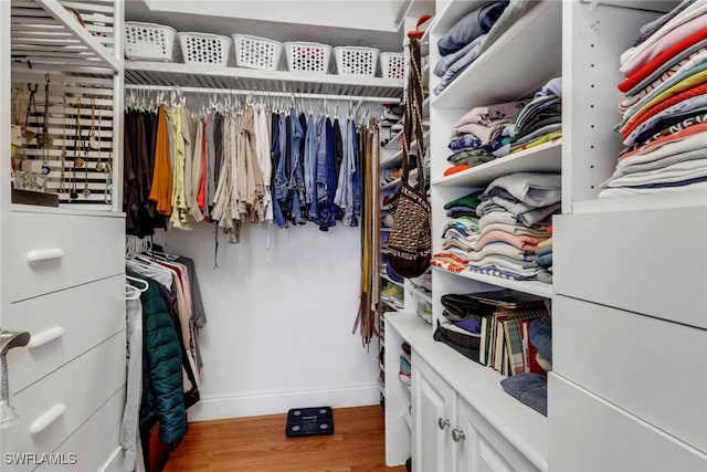 walk in closet featuring wood-type flooring