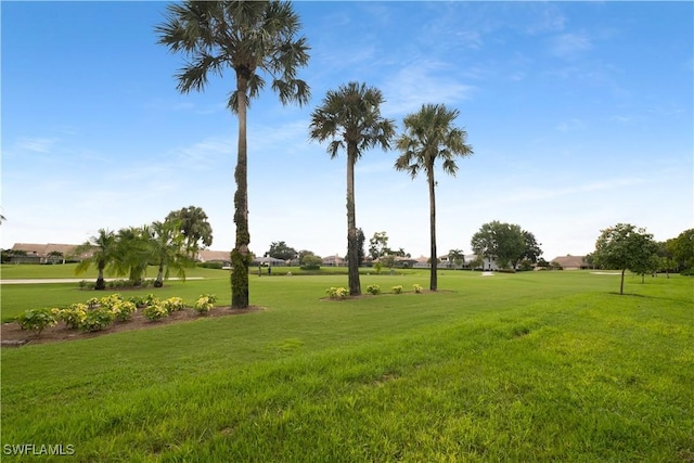 view of property's community with a lawn