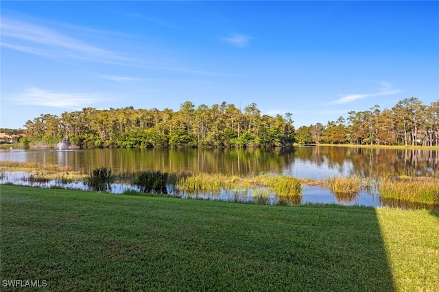 water view