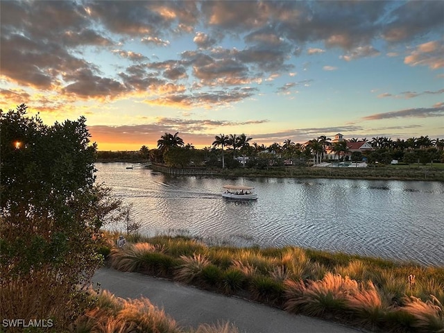 property view of water