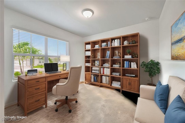 view of carpeted office space