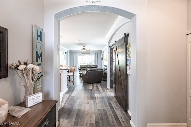 corridor with a barn door, ornamental molding, and dark hardwood / wood-style flooring