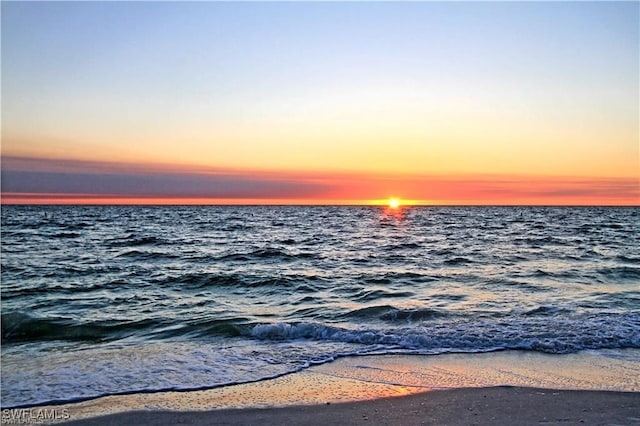 water view featuring a beach view