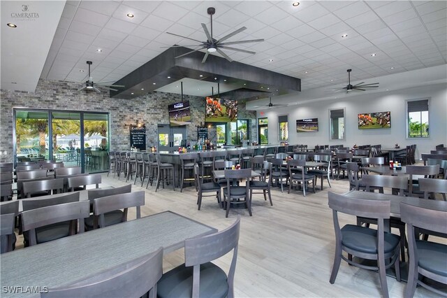 dining space featuring plenty of natural light, a drop ceiling, and light hardwood / wood-style flooring