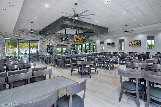 dining space featuring a healthy amount of sunlight, a drop ceiling, ceiling fan, and light hardwood / wood-style flooring