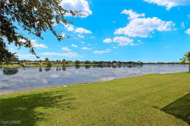 2249 Valencia Lakes Cir, Naples, FL 34120 - water view