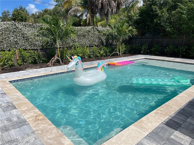 view of swimming pool