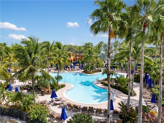 view of pool featuring a patio area