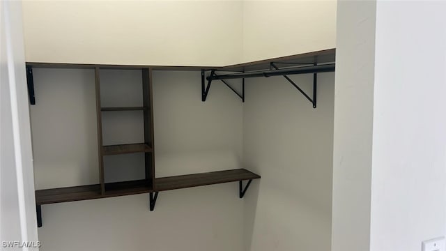 view of walk in closet