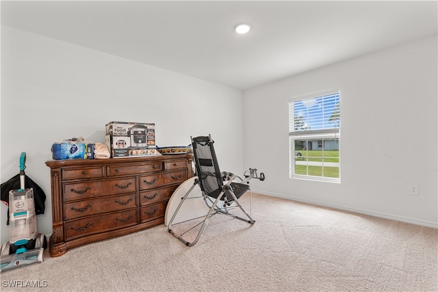 workout area with light carpet