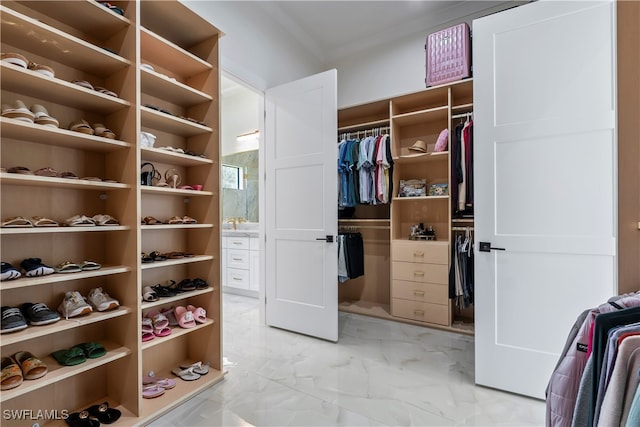 view of walk in closet