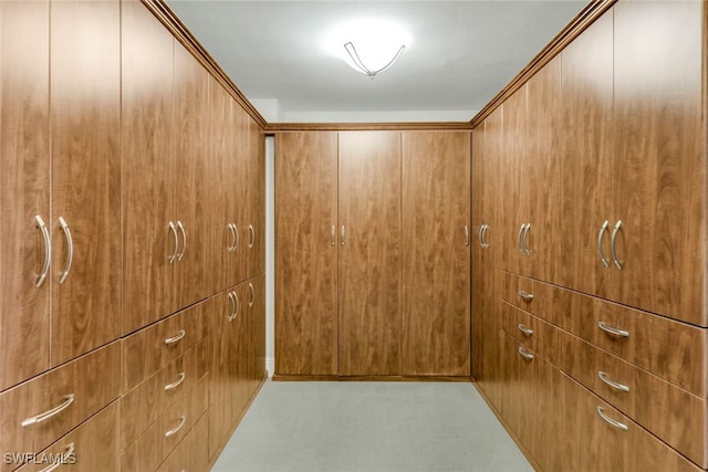 spacious closet with light colored carpet