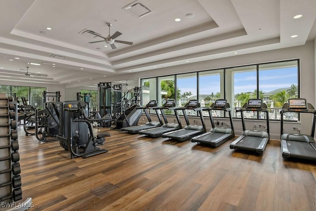 workout area with a wealth of natural light, a raised ceiling, wood finished floors, and a ceiling fan