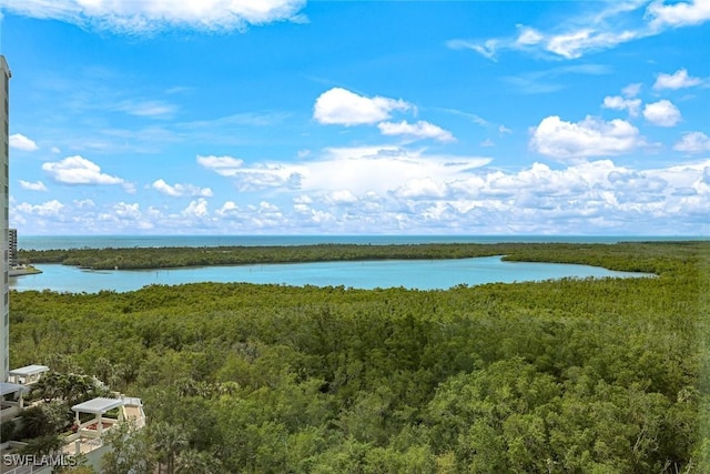 view of water feature featuring a wooded view