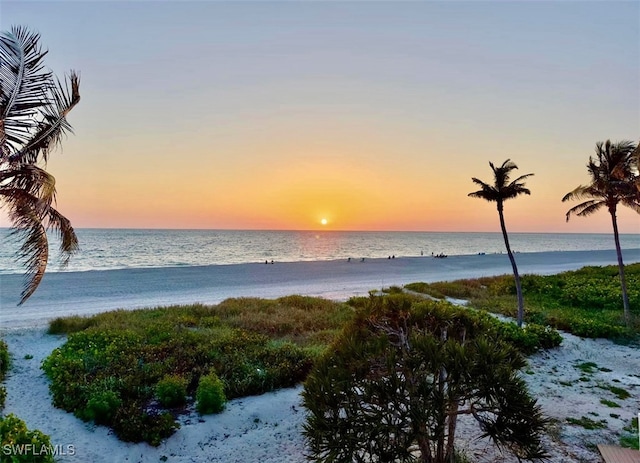 property view of water featuring a beach view