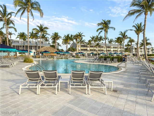 view of pool featuring a patio area