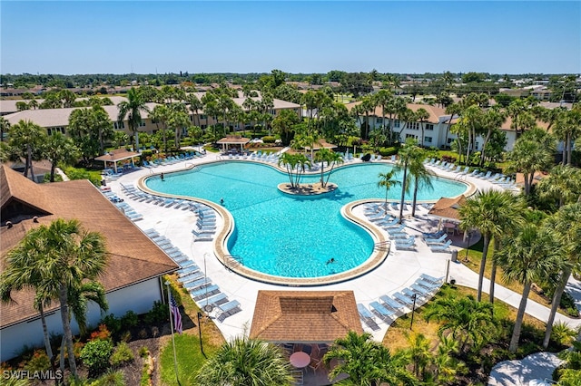 view of pool featuring a patio area