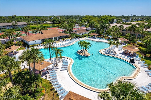 view of pool with a patio