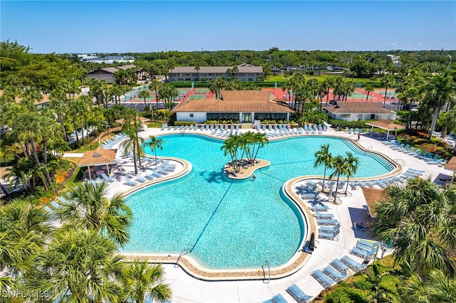 view of pool with a patio area