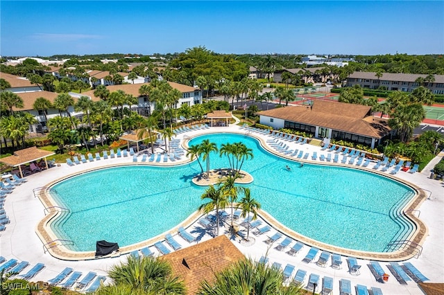 view of swimming pool with a patio