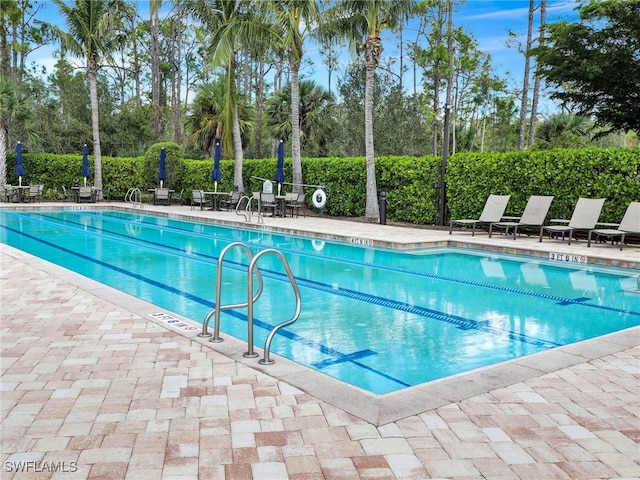 view of swimming pool with a patio