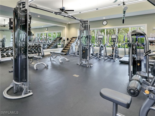 workout area with a healthy amount of sunlight and ceiling fan