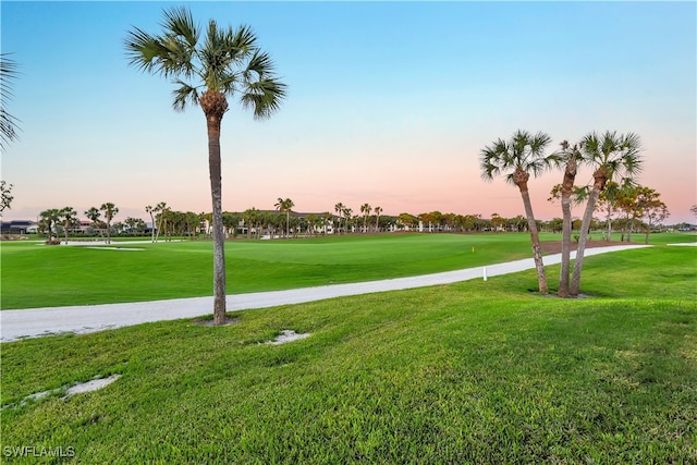 view of home's community with a lawn