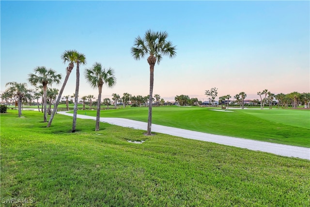 view of home's community featuring a yard