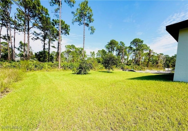 3214 68th St W, Lehigh Acres, FL 33971 - view of green lawn