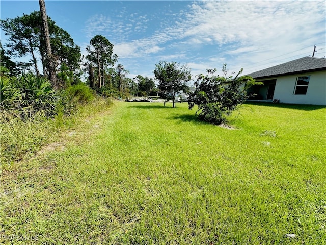 view of yard