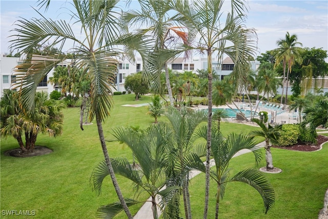 view of community with a lawn and a swimming pool