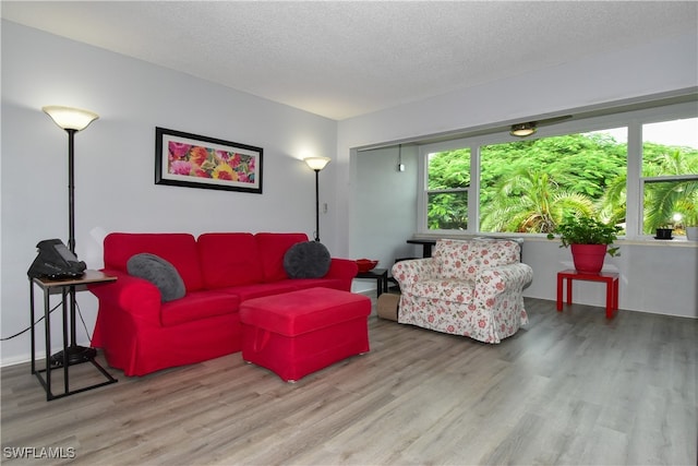 living room with a textured ceiling and hardwood / wood-style floors