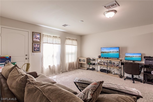 living room featuring carpet flooring